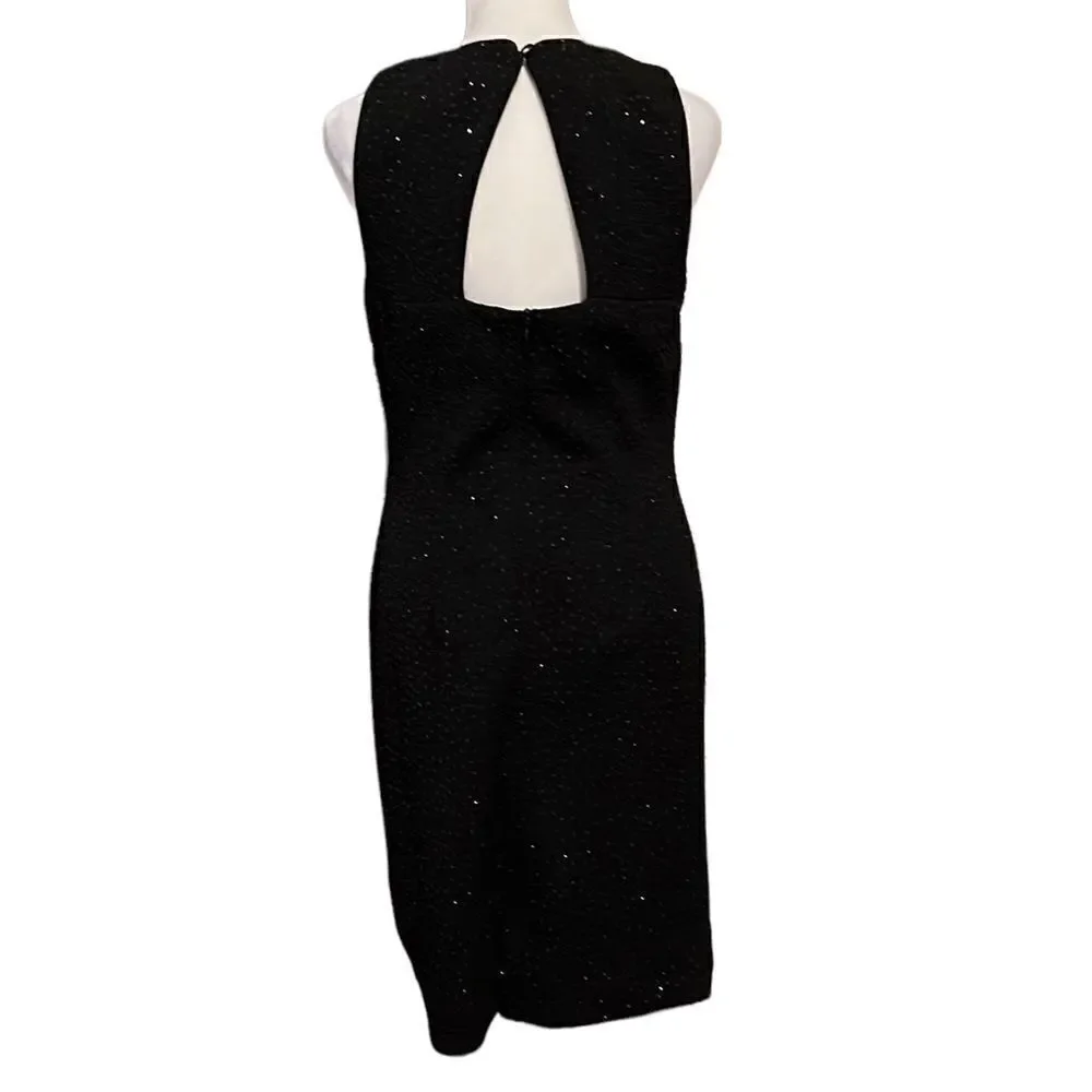 David Warren NY NWT black sparkly sleeveless zip back keyhole lined sheath dress
